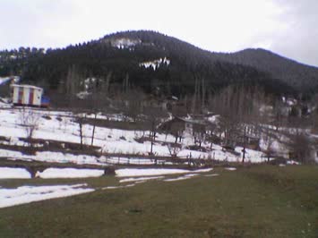 mollagil mahallesi