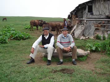 Yaylada - Sedat Arslan