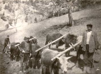 Ekin koşarken  MAhmut Tokdemir Yusuf Gökçe Mevlut Gökçe 1970