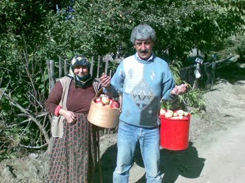 anıl murat