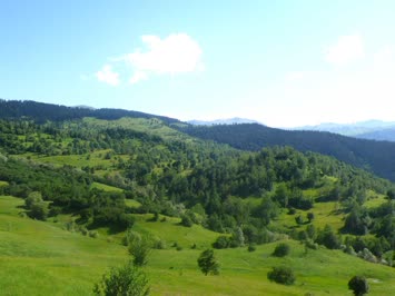 Şavşat-Çamlıca yaylası