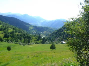 Şavşat-Çamlıca yaylası