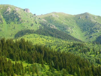 Şavşat-Çamlıca yaylası