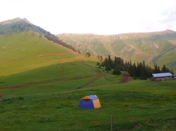 Şavşat-Çamlıca yaylası