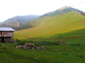 Şavşat-Çamlıca yaylası