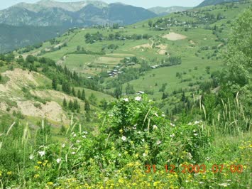 CORAKLI  CİSVETTEN CEKİLMİŞTİR