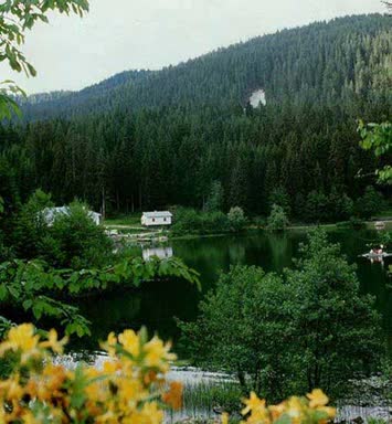 tam bir doğa harikası