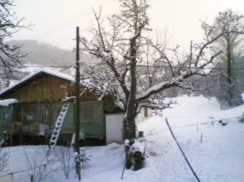 Çağlar Durmuş