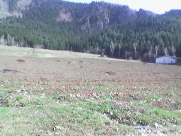 fidanlıktan bir bölüm