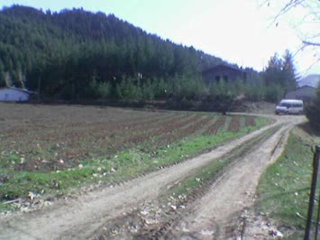 fidanlık