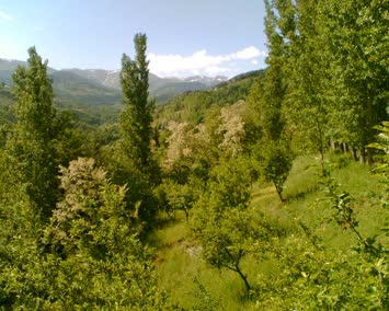 bir arpalı manzarası
