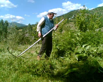 Nasır usta ve 9 numara tırpanıyla ceberulada