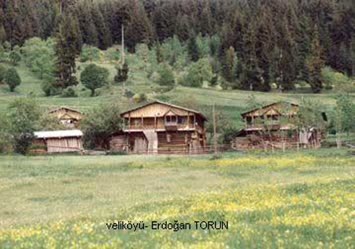 Erdoğan Torun