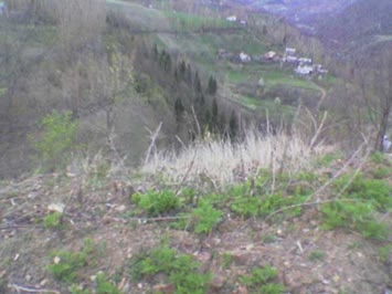 savahil mahallesi