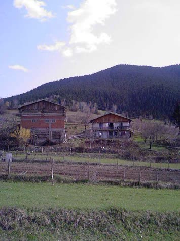 Zendeba