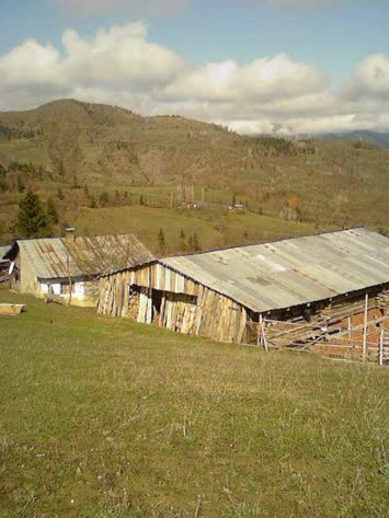 Zendeba