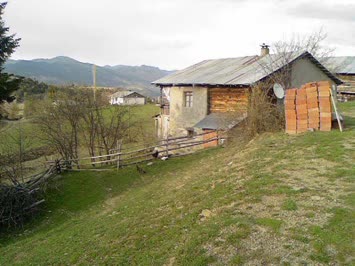 Zendeba
