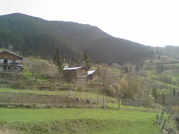 Zendeba