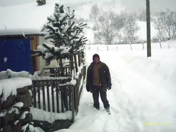sülesta kış