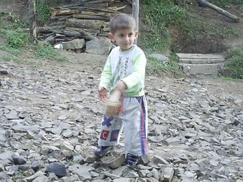 Köy ormanı