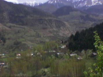 mollagil