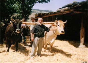 Medet Avcı