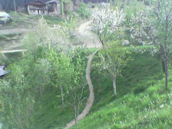 evin bahçesi