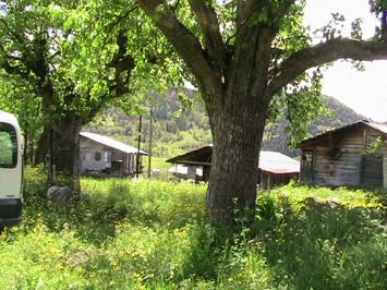 Tepeköy
