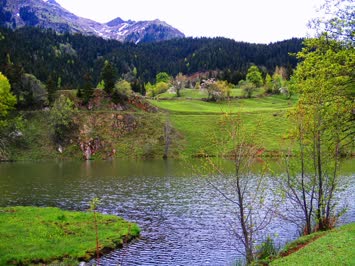 A.Koyunlu