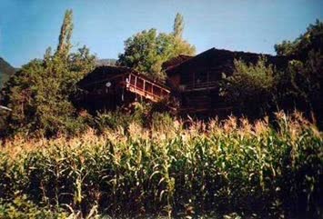 Köyden bir görünüş