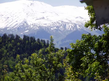 Seracettin Elmacı