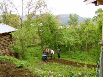 Tepeköy Gogelet