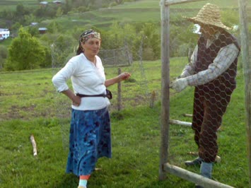 Çiçqar yerine Çit