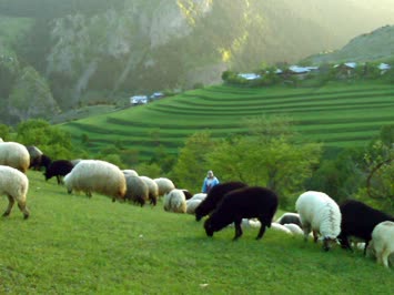 Yavuzköy