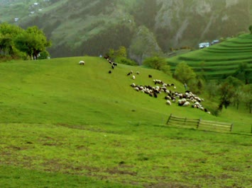 Yavuzköy