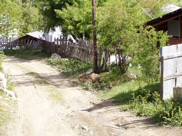 gogelet 15 05 2008