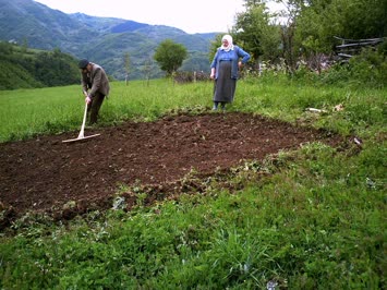 Savaş Köyü - 2008