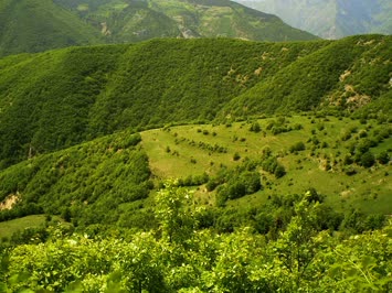 Savaş Köyü - 2008