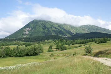 ÇAYIRLAR