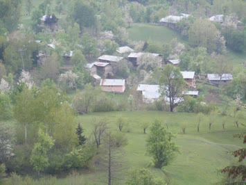 sülesten görünüm
