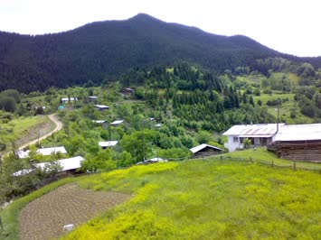 zendaba 1