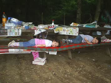 Cinal Piknik Sarıyer