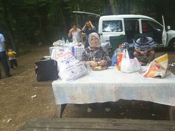 Cinal Piknik Sarıyer