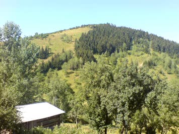Bizim evden Sargüsel-Sene 2007