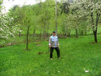 Bahçemin Bir Görünümü
