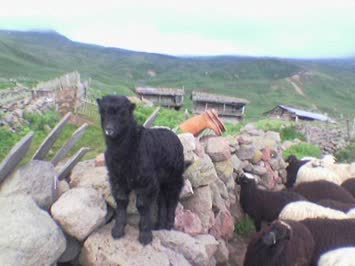 bunlar sevilmezmi (kıdan)