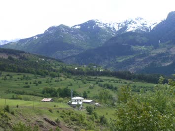 Cami Mahallesi