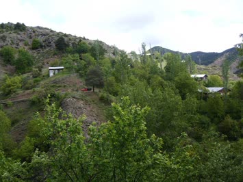 Cami Mahallesi