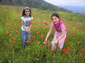 Yasin Koca Galeri
