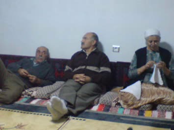 Fiko, Zito ve Gülfikar